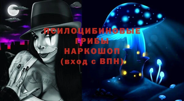гидропоника Краснослободск