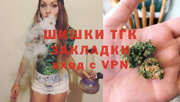 индика Краснотурьинск